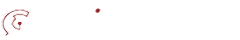 logo white